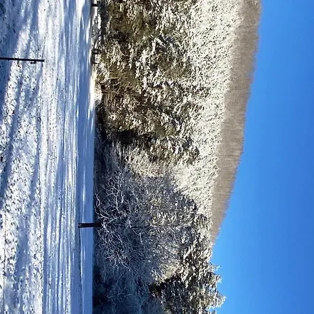 Du Liesthal Шале